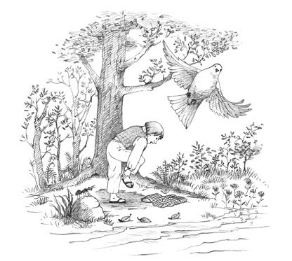 Иллюстрация к басне толстого муравей и голубка (41 фото)