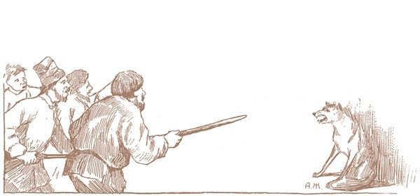 Иллюстрация к басне волк на псарне карандашом (41 фото)