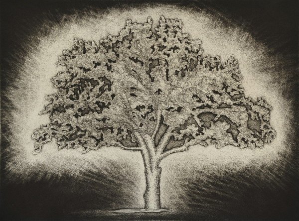 Дерево анчар иллюстрация (39 фото)