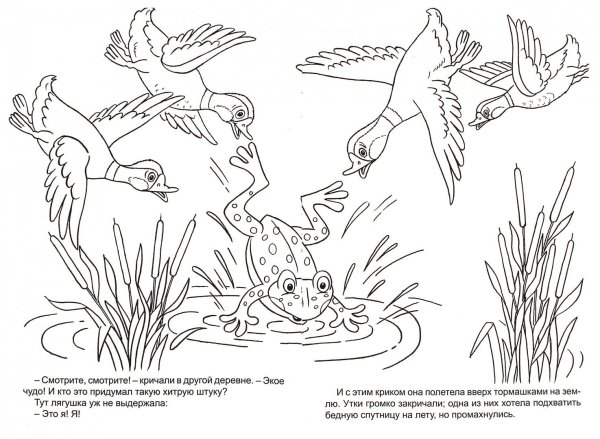 Детские иллюстрации лягушка путешественница (37 фото)
