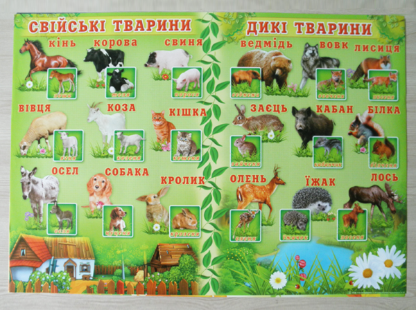 Домашние животные плакаты для детей (39 фото)