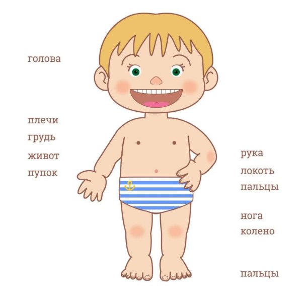 Иллюстрации для детей тело человека (40 фото)