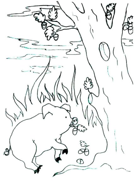 Иллюстрации к басне свинья под дубом черно белые (41 фото)