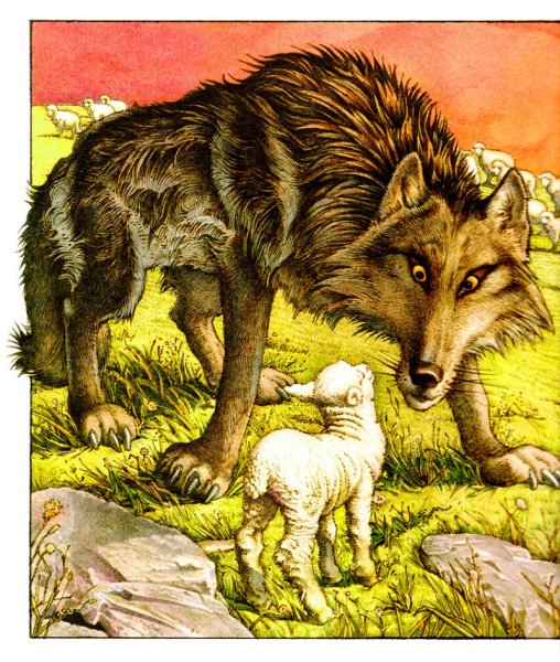 Иллюстрация к басне крылова волк и ягненок (40 фото)