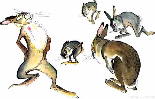 Иллюстрация про храброго зайца длинные уши косые глаза (41 фото)