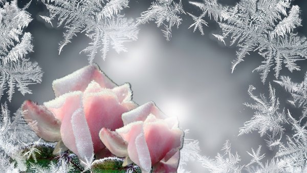 Красивые зимние открытки (37 фото)