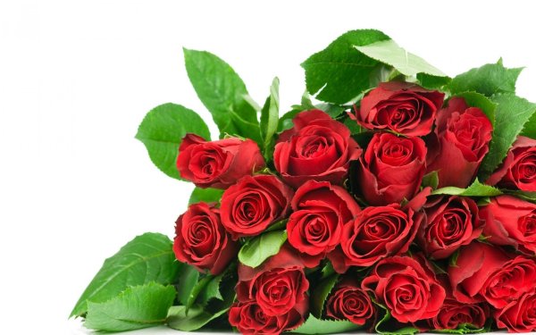 Красивый букет роз для женщины открытка (35 фото)