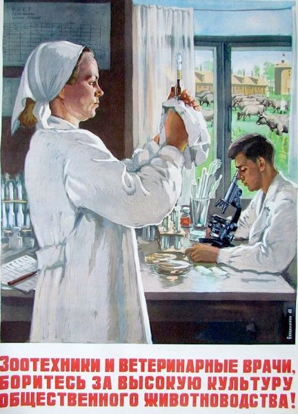 Медицинские плакаты советские (39 фото)