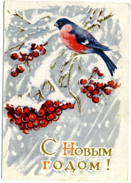 Новогодние открытки ссср со снегирями (41 фото)