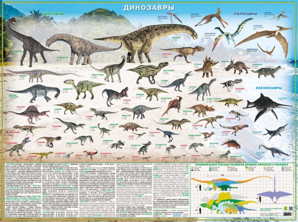 Плакат динозавры для детей (35 фото)