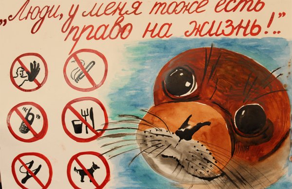 Плакат в защиту животных рисунки для детей (37 фото)