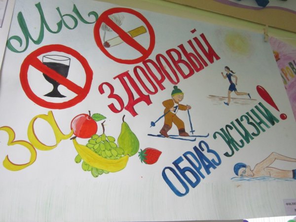 Плакат здоровый образ жизни в школу (39 фото)