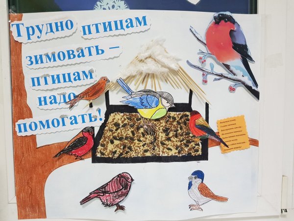 Плакаты покормите птиц зимой картинки для детей (34 фото)