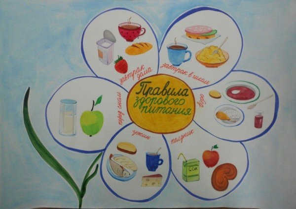 Полезная еда плакат для детей (41 фото)