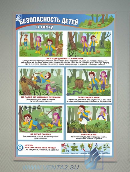 Правила поведения в лесу плакат для детей (39 фото)