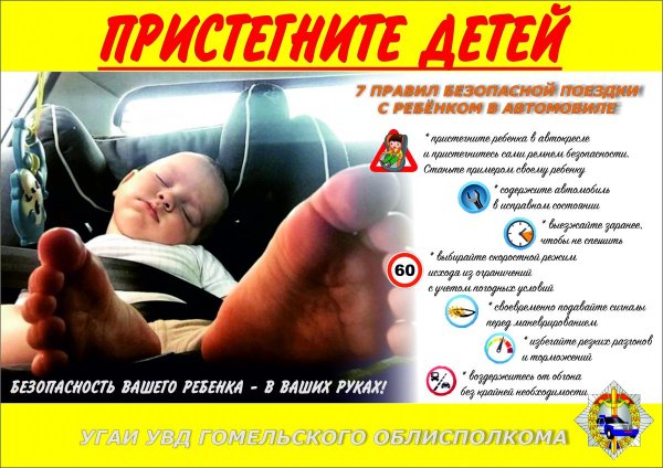 Пристегните детей в машине плакат (36 фото)