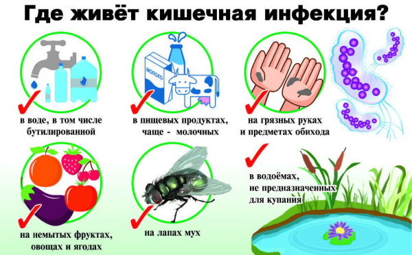 Профилактика инфекционных заболеваний плакат для детей (39 фото)