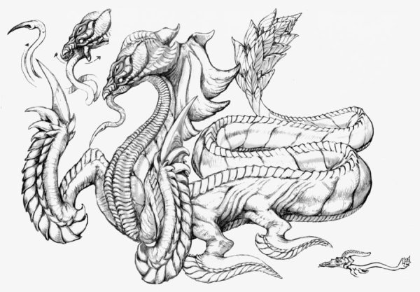 Раскраски дракон из гарри поттера (39 фото)