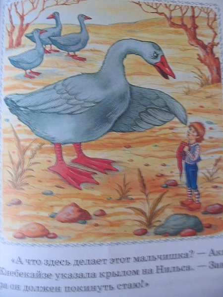 Раскраски из сказки нильса с дикими гусями (30 фото)