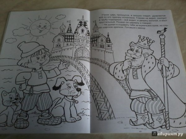 Раскраски к сказке волшебное кольцо русская народная сказка (41 фото)