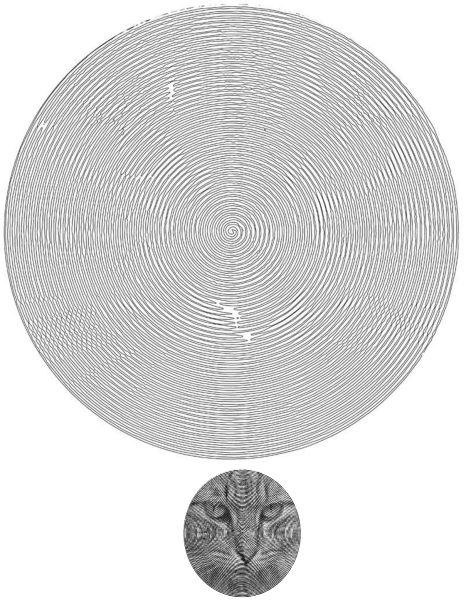 Раскраски спираль гарри поттер в круге (42 фото)