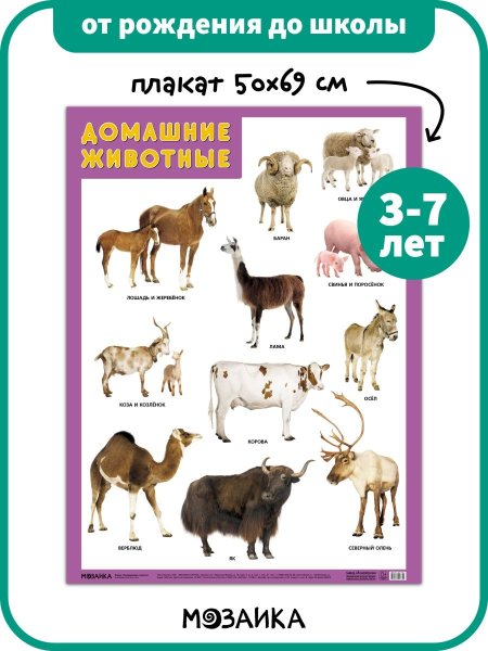 Развивающие плакаты для детей домашние животные (41 фото)