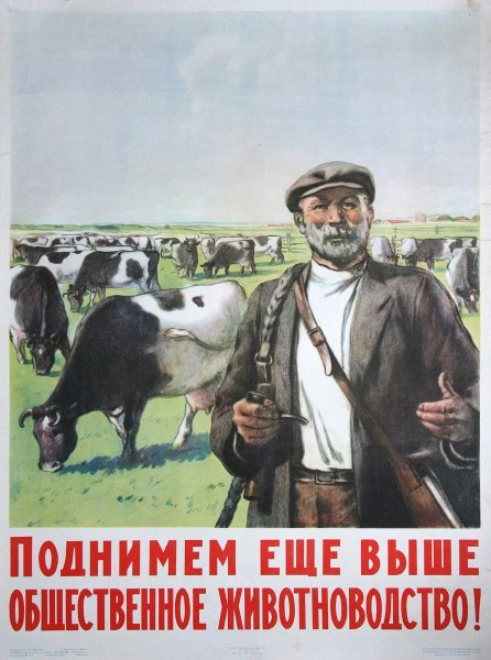 Животноводство ударный фронт в советских плакатах (40 фото)